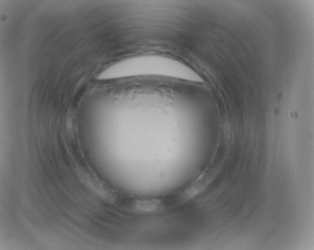 X0000083050373200702232001