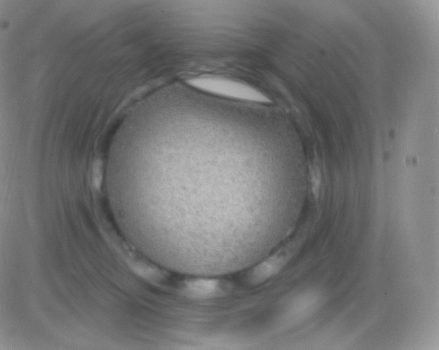 X0000083050374200702232001