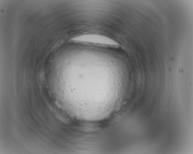 X0000083050375200702232001