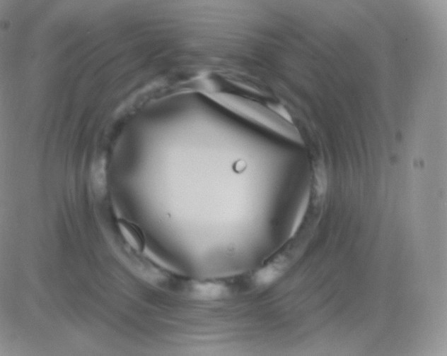 X0000083050376200702232001