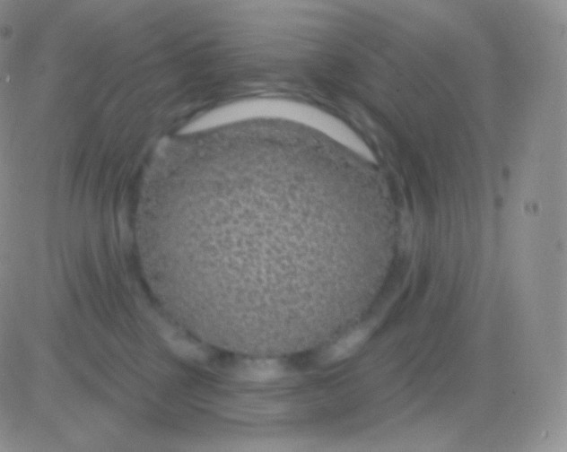 X0000083050377200702232001