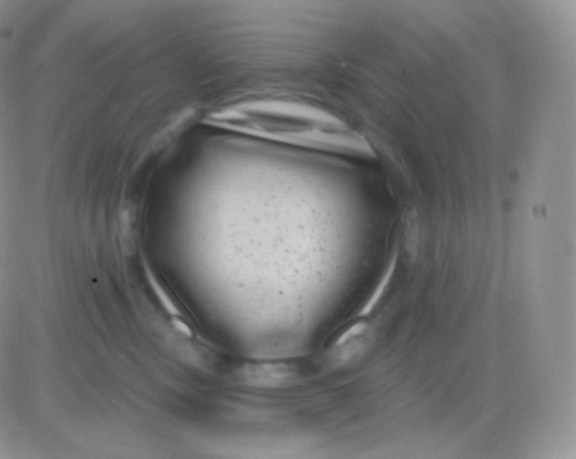 X0000083050378200702232001