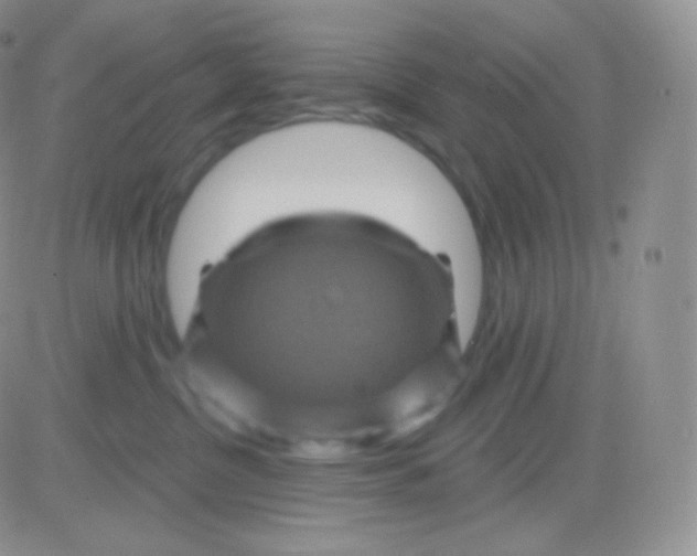 X0000083050380200702232001