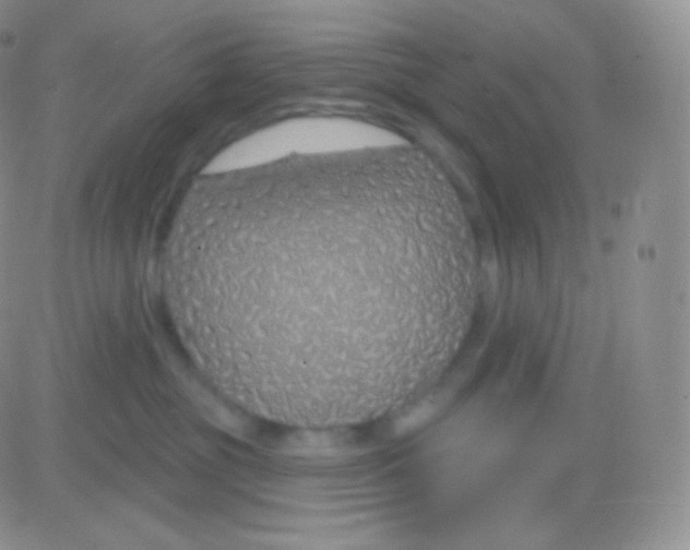 X0000083050381200702232002