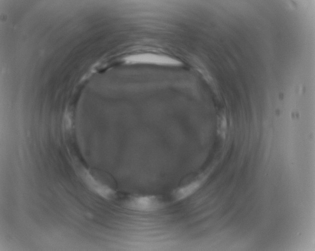 X0000083050382200702232002