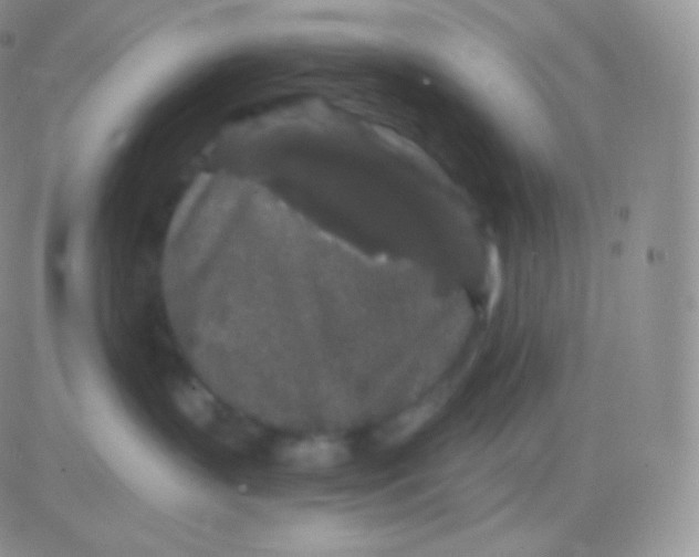 X0000083050383200702232002