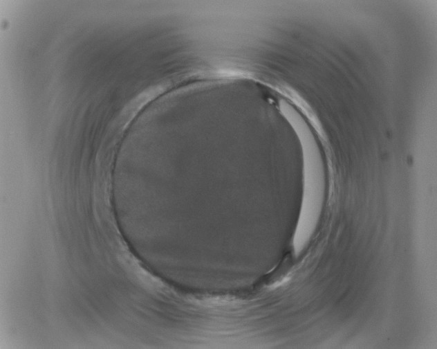 X0000083050385200702232001