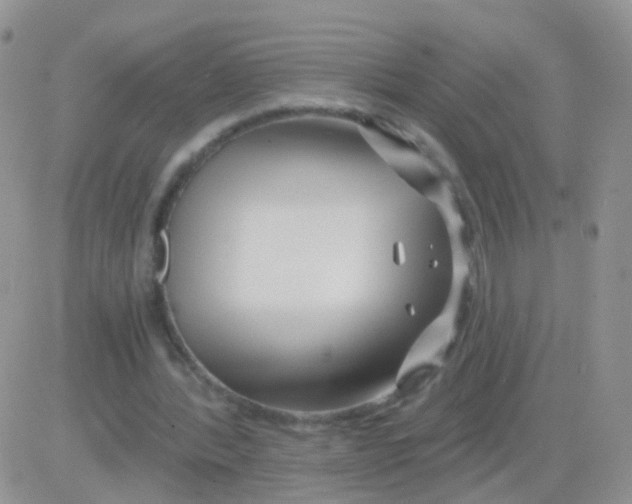 X0000083050388200702232001