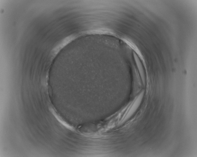 X0000083050389200702232001