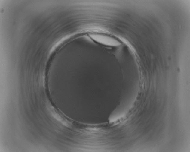 X0000083050391200702232001