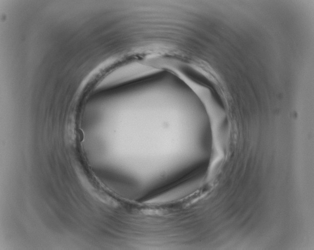 X0000083050392200702232001