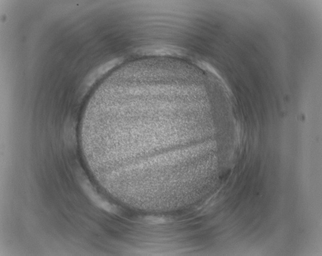 X0000083050394200702232001