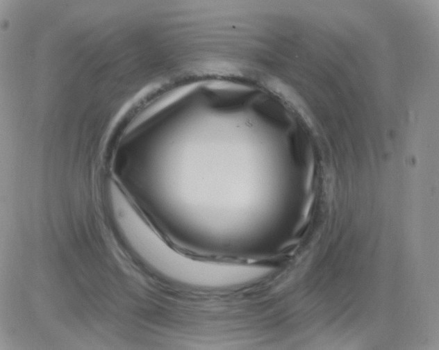 X0000083050395200702232001