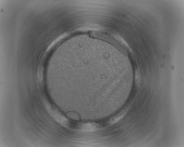 X0000083050396200702232001