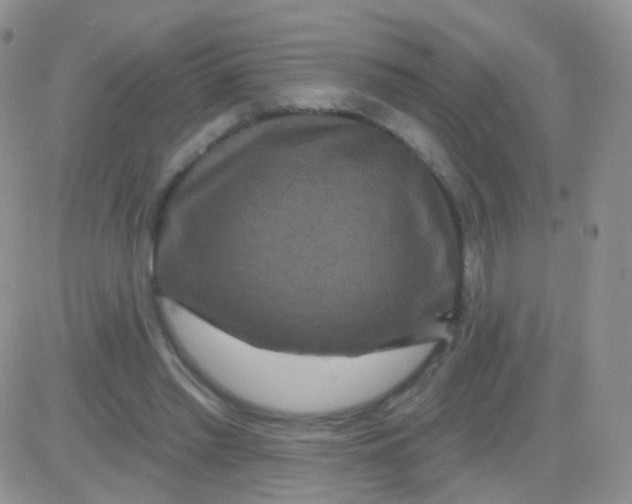 X0000083050397200702232000