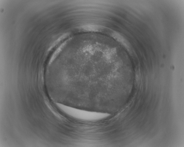 X0000083050398200702232000