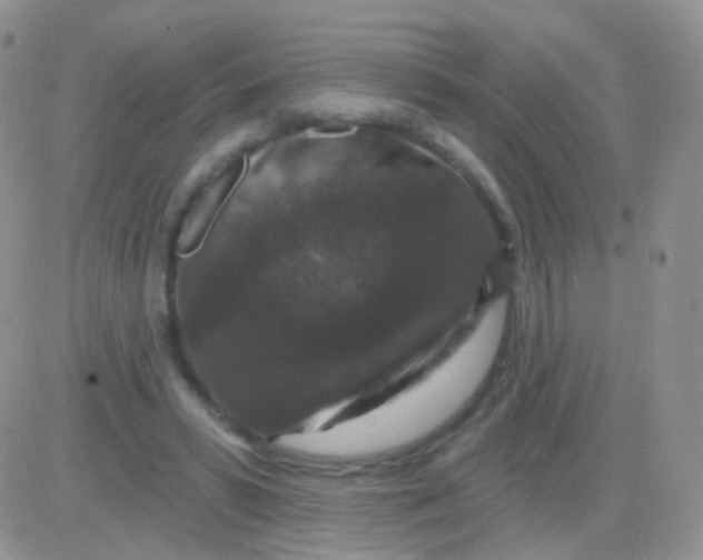 X0000083050399200702232000