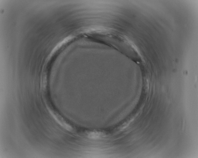 X0000083050400200702232000