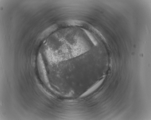 X0000083050402200702232000