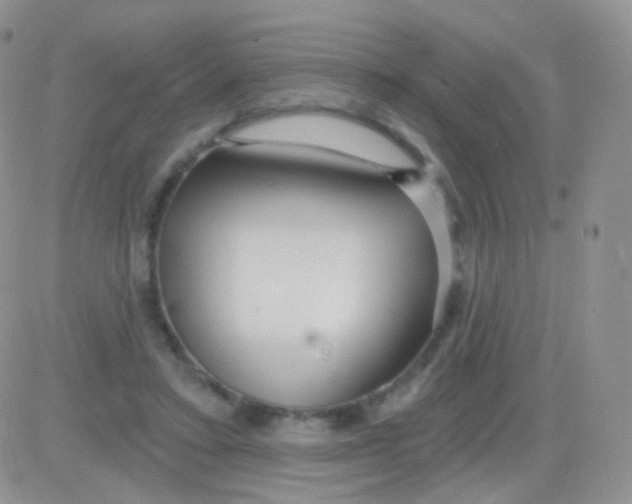 X0000083050403200702232000