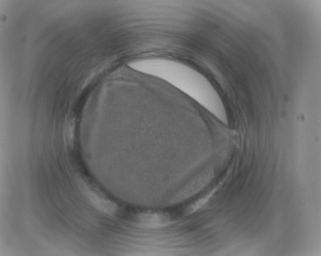 X0000083050404200702232000