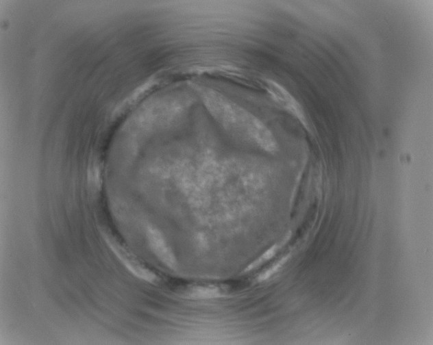 X0000083050405200702232000