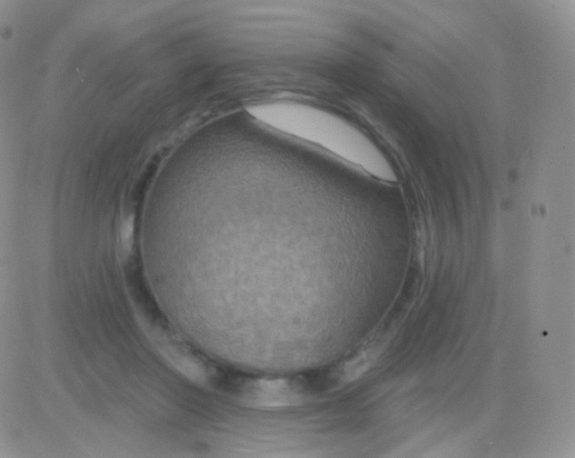 X0000083050406200702232000