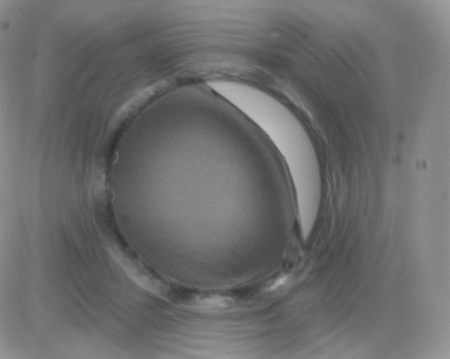 X0000083050407200702232000