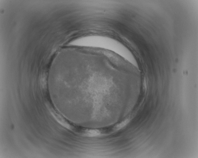 X0000083050409200702232000