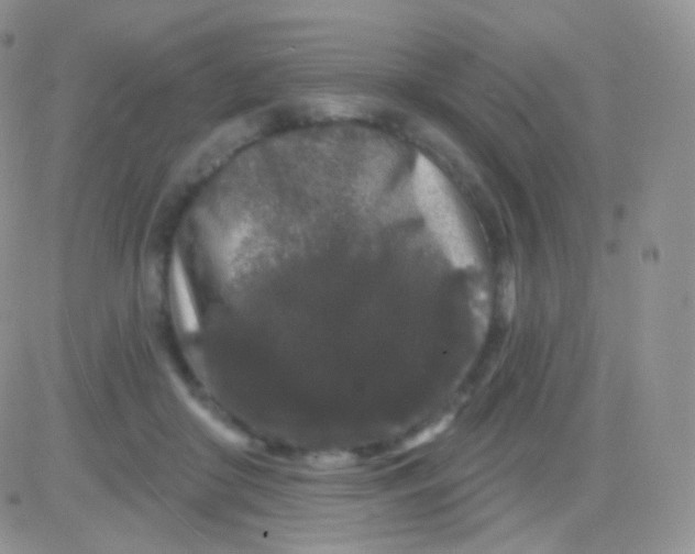 X0000083050410200702232000