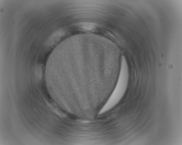 X0000083050412200702232000