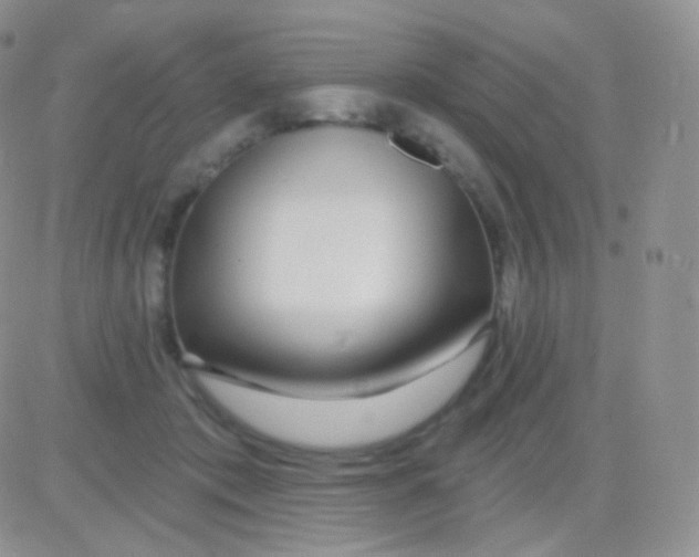 X0000083050413200702232000