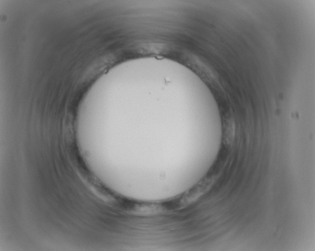 X0000083050414200702232000