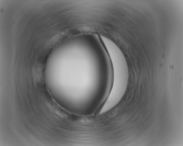 X0000083050416200702232000