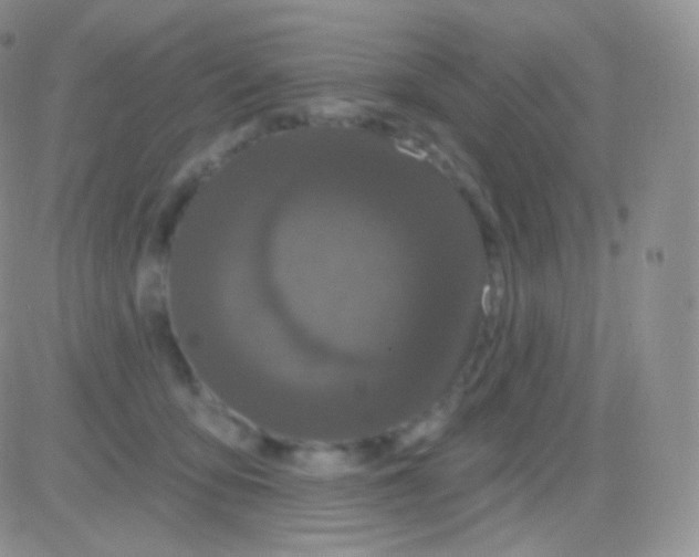 X0000083050419200702232000