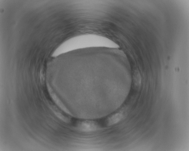 X0000083050420200702232000