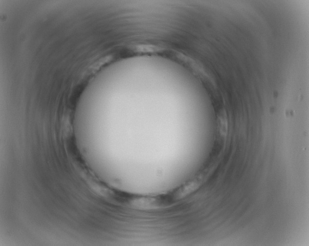 X0000083050422200702232000