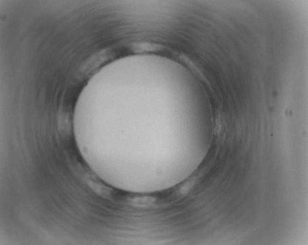 X0000083050426200702232000