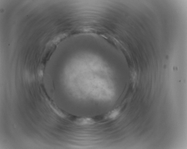 X0000083050427200702232000