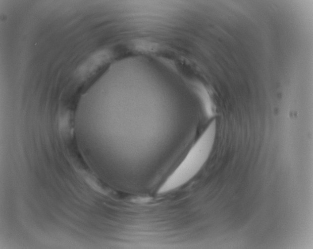 X0000083050428200702232000