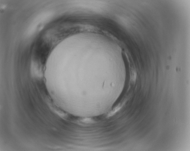 X0000083050431200702232000