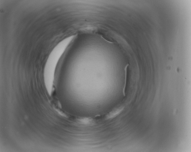 X0000083050432200702232000