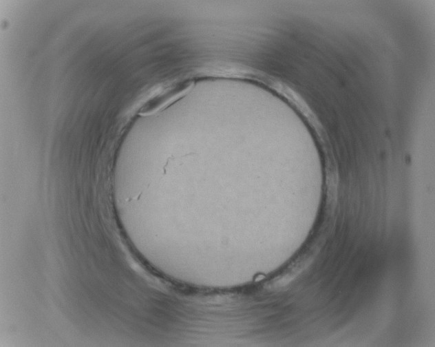 X0000083050433200702231959