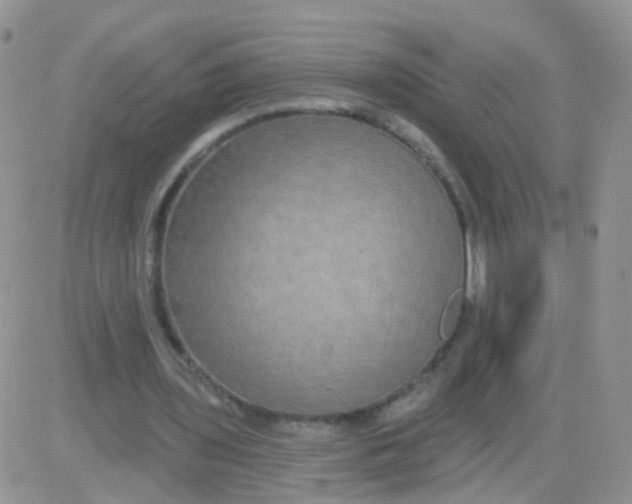 X0000083050435200702231959