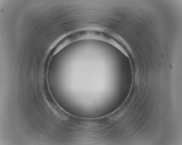 X0000083050436200702231959