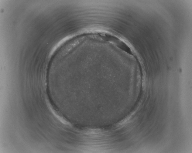 X0000083050438200702231959