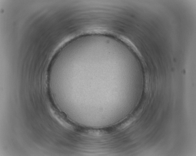 X0000083050439200702231959