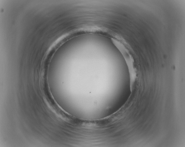 X0000083050440200702231959