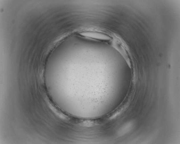 X0000083050441200702231959