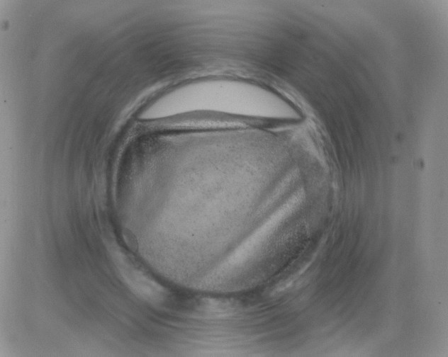 X0000083050442200702231959